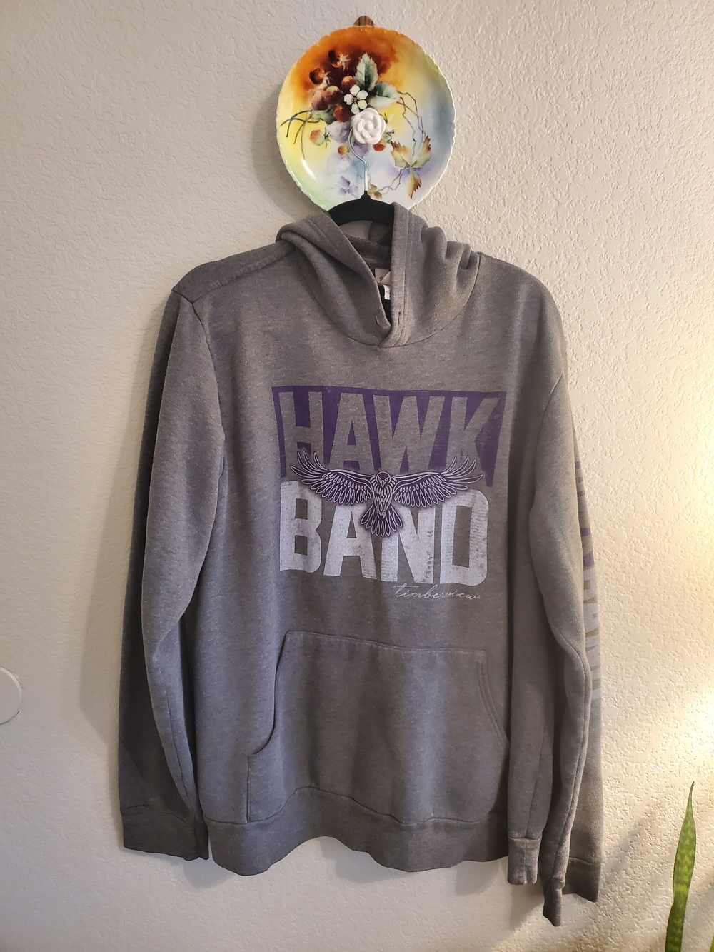 Gray Hawk Band Pullover Hoodie with Purple Graphic